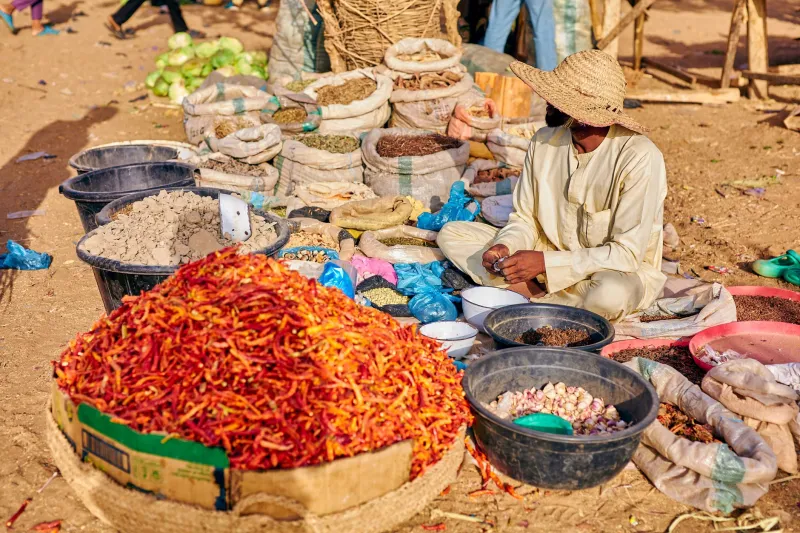 Spice Up Your Life: Why American Kitchens Are Going Crazy for Nigerian Flavors Right Now